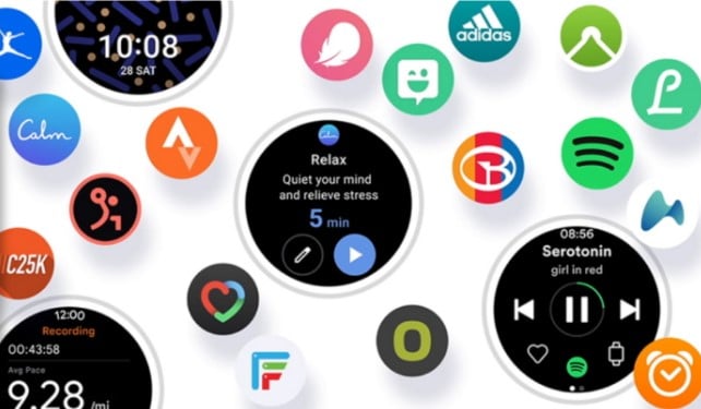 One UI Watch